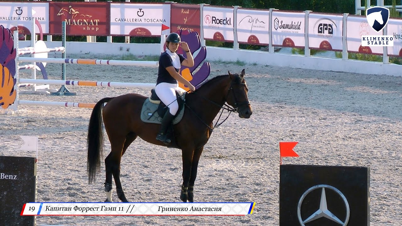 лошадь 7 лет