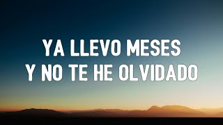 ya llevo meses y no te he olvidado (Letra/Lyrics)