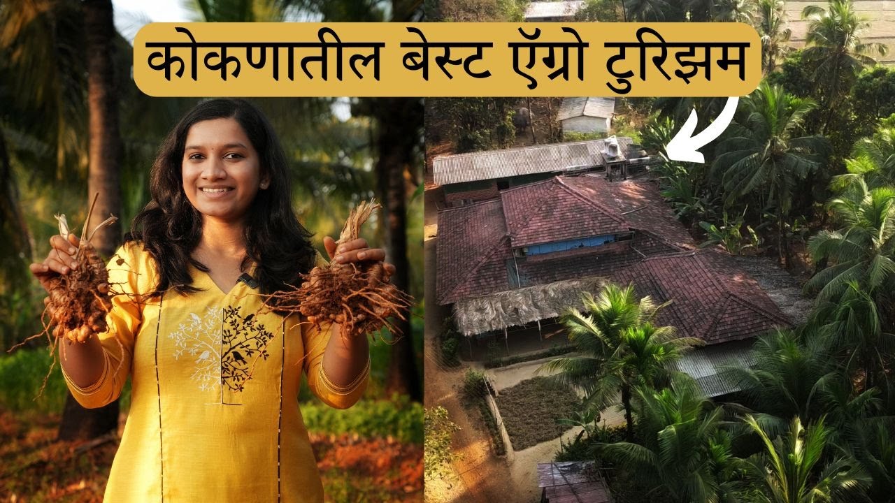 शेतात काम करण्याचा धमाल अनुभव | गावाकडील जेवण |  Farmlife | Village Life | Kokanai Agro Tourism |