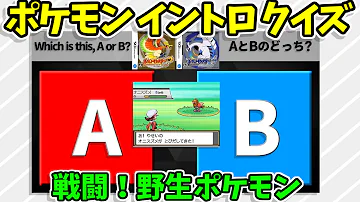 戦闘 野生ポケモン 戦闘 野生ポケモン