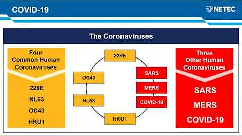 What Health Care Providers Need to Know About 2019-Novel Coronavirus - DayDayNews