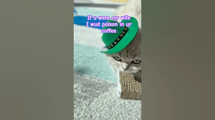 Watch the video about If u were my wife… #scottishfold #pov #cosplay #kitten #cat #cutecat #poison #funny