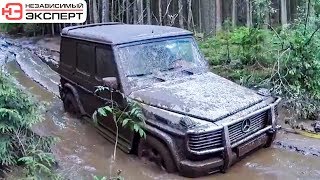 видео: ГЕЛИК BRABUS | В ЛЕС НА ВСЕ ДЕНЬГИ картинка: ГЕЛИК BRABUS | В ЛЕС НА ВСЕ ДЕНЬГИ