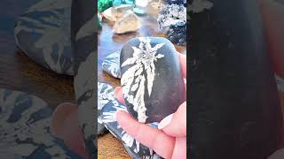 I was lucky enough to gather a few chrysanthemum stones