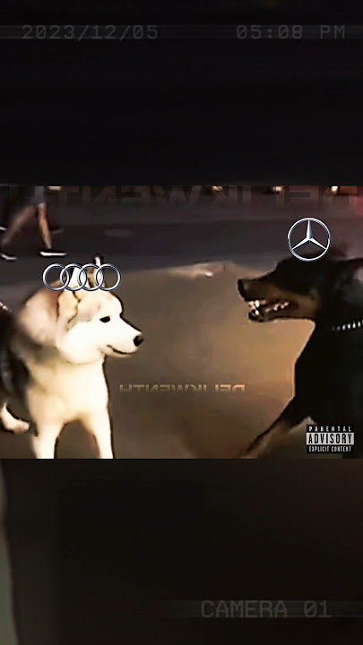 🥶Audi vs 😈Mercedes vs 💀BMW #doberman #husky #pitbull #bmw #sigma #alpha