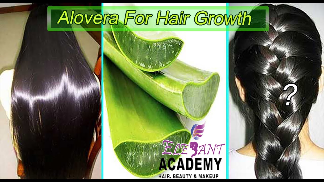 Aloe Vera for Hair growth YouTube