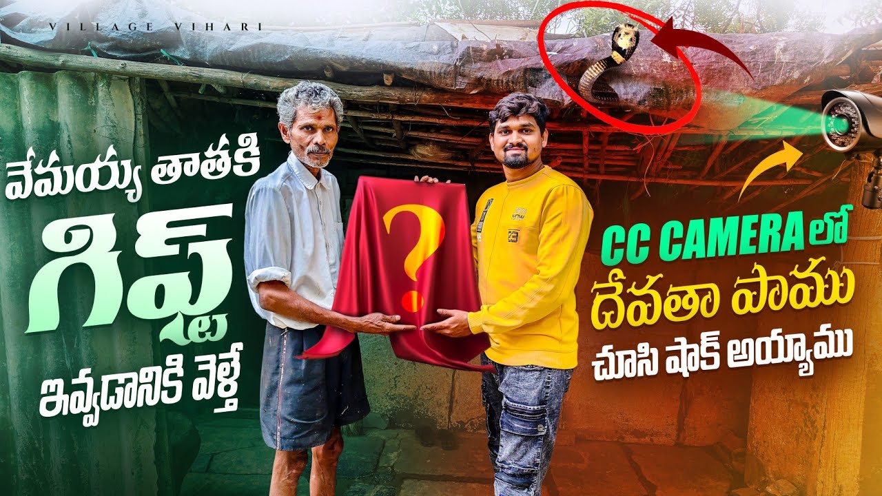 వేమయ్య తాతకు గిఫ్ట్ ఇవ్వడనికి వెళ్తే శ్వేతనాగు గురించి చూసి షాక్ అయ్యాము