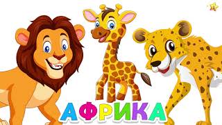 Животные Африки  - Карточки Домана животные для детей