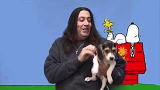 New Arrivals 11 16 18 by BowWow Babies® 1,535 views 5 years ago 3 minutes, 52 seconds