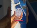 TOP 5 TRANSPARENT ANIMALS😱 YOU WON'T BELIEVE EXIST! #animals #facts #shorts