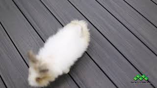 Silver Grey Composite Decking Colour - By Newtechwood