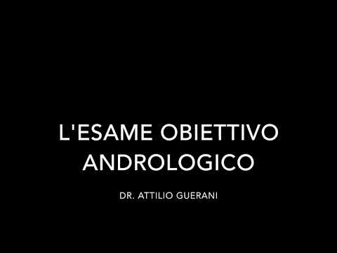 Video: Scroto: Anatomia E Funzione, Diagramma, Condizioni E Consigli Sulla Salute