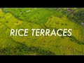 Rice Terraces in Bali: Beautiful Aerial Drone Stock Video Footage of [4K]