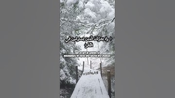 تلاوة عطرة من سورة آل عمران..  #القرآن_الكريم #reels #foryou #لايك #اكسبلور #راحة_نفسية #حالات_واتس
