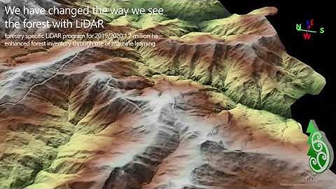 Why is LiDAR so useful in Forestry?