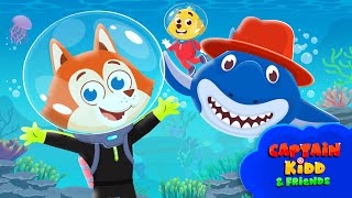 Captain Kidd S3 | Episode 1 | Alex the Shark Dentist | Animated Cartoon for Kids | Song for Toddlers