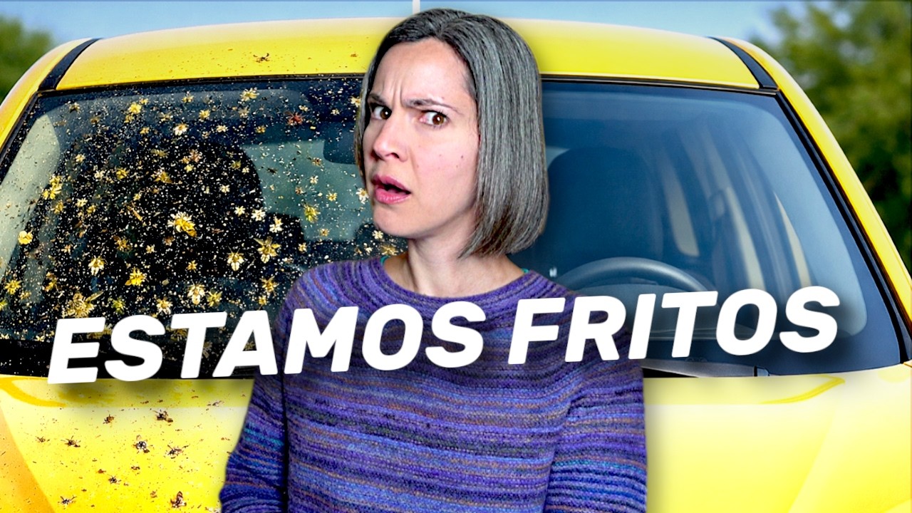 La muerte de los insectos es peor de lo que imaginas