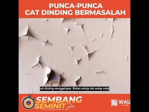 Punca Punca Cat Dinding Bermasalah YouTube Punca Punca Cat Dinding Bermasalah YouTube