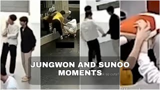 ILAND JUNGWON and SUNOO Moments (ft. Sunghoon's shoulder) [Tom and Jerry..?]