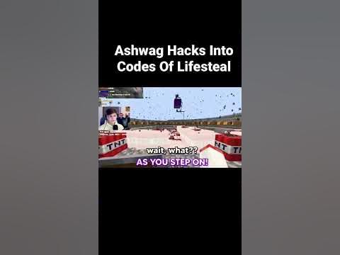 Ashwag Hacks Into Codes Of Lifesteal! I haven’t posted in a while sorry ...