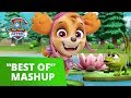 PAW Patrol Best of Mashup 6 - Pup Tales, Toy Episodes, and More! - PAW Patrol Official & Friends