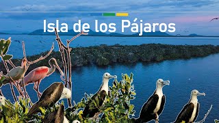 Isla de los Pájaros