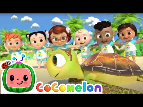 sea-animal-song-|-life-at-sea-|-kids-ocean-learning-|-toddler-show-|-cocomelon