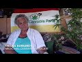 The marijuana wahines trisha edwards   feb 2019