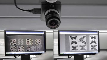 Kombo SD di Elitron - Video Ufficiale