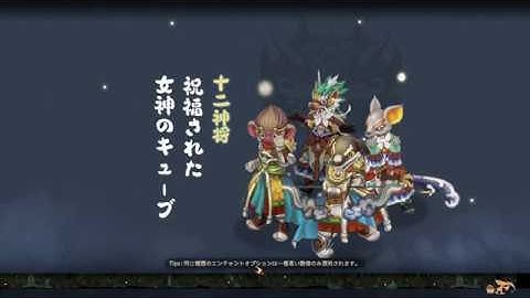 Tree of Savior.. My pace enjoy gamer