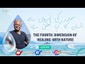 The 4th dimension of healing with the nature  healing dimensions nature 4t.imension lahore