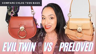 Compare Evil Twin vs Preloved Chloe Tess Bags