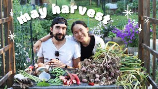 May garden harvest (something happened to our garlic  plus rhubarb, peas, asparagus)