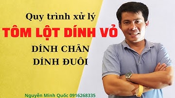 Điều Trị Tôm Lột Dính Vỏ, Dính Chân - Tôm Thiếu Khoáng Vi Lượng | Nguyễn Minh Quốc #13