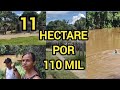11 hectare por 110 mil com roa de cacau um rio   pasto avendaemilhusba