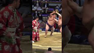 3 Epic Sumo Matches