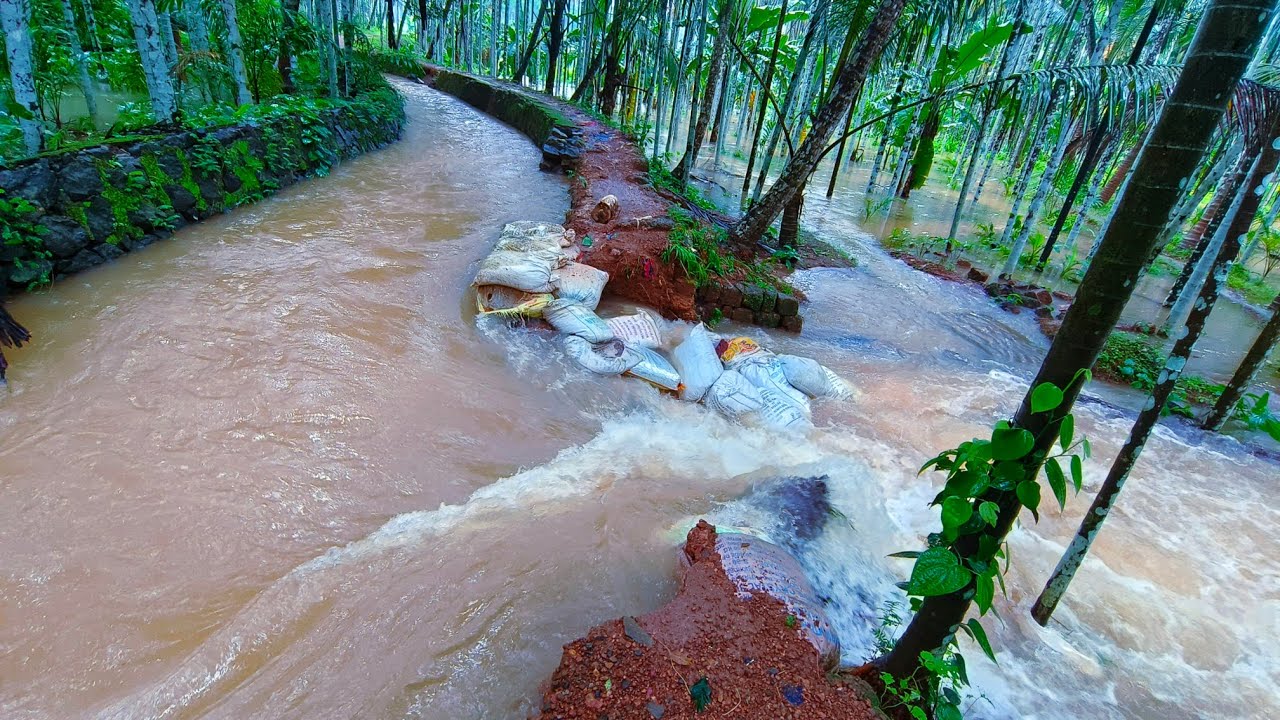 Heavy Rian Flood Affected in My Village | Kerala Flood