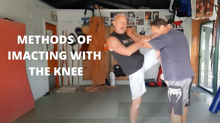 Kurt Graham's My Budo: Methods Of Impacting With T...