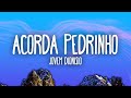 Jovem Dionisio - ACORDA PEDRINHO (Letra/Lyrics)