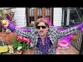 USED CAR SALESMAN - THE PREHISTORICS
