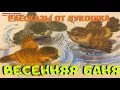 ВЕСЕННЯЯ БАНЯ — Рассказ | Николай Сладков | Аудио рассказы | Рассказы Сладкова