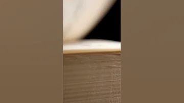Page Book Turn Flip Sound Effect 