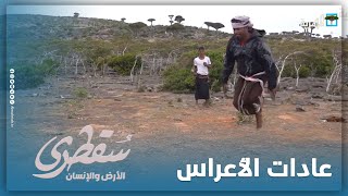 تحدي القفز.. من عادات الأعراس لدى السقطريين قديماً