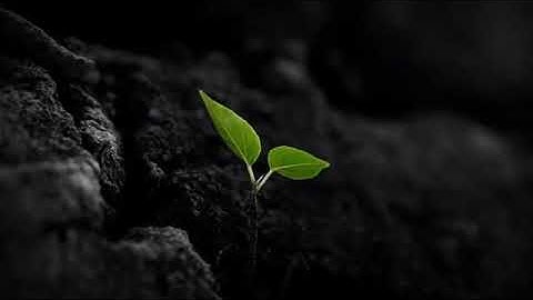 وَالَّذِينَ آمَنُوا وَعَمِلُوا الصَّالِحَاتِ لَا نُكَلِّفُ نَفْسًا إِلَّا وُسْعَهَا من سورة الأعراف