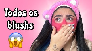 USANDO TODOS OS MEUS BLUSHS 😊 | Fiquei muito feia?*