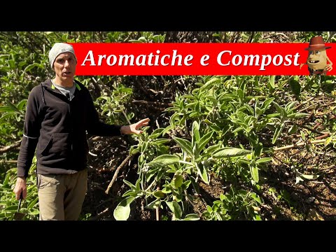 Video: Come Fare Il Compost Di Qualità