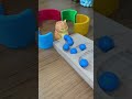 Marble run ASMR satisfying Colourful balls #toys #marblerun #cat #funny #kitten