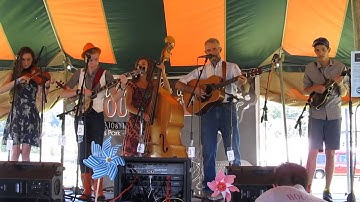 Chilly Winds by Strictly Strings at HOustonfest, 2016