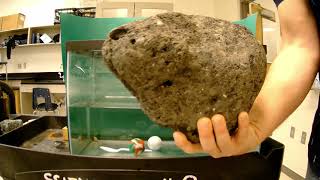 Sink or Float - Exploring Density (7th Grade Science)