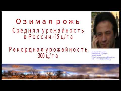 Видео: Когда сажать озимую рожь - Как выращивать покровные культуры озимой ржи